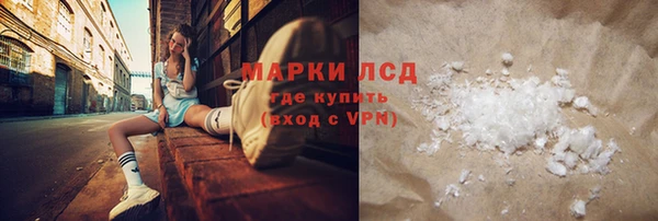 индика Беломорск