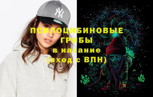 стафф Белокуриха