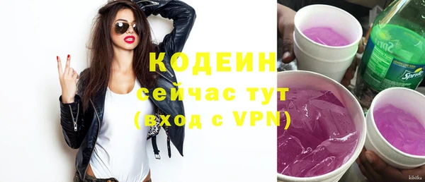 индика Беломорск
