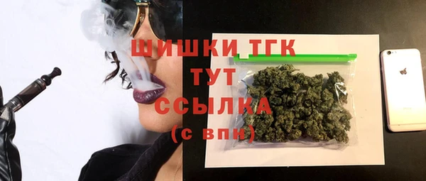 индика Беломорск