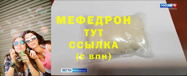 индика Беломорск
