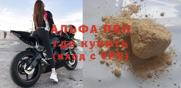 индика Беломорск