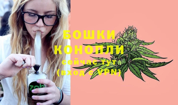 стафф Белокуриха
