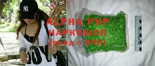 индика Беломорск