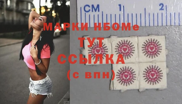 индика Беломорск