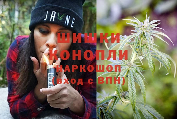 индика Беломорск